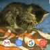 Sherri molnar - Facebook