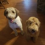 Sherri Moran- Bookwalter - @slee4974 - Instagram