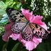 Sherri Morand - Facebook