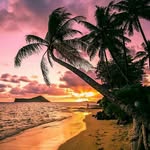 Sherri Murdock - @murdocksherri - Instagram