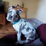 Sherri Murdock - @sassyazz6 - Instagram
