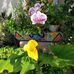 Sherri O'Connor - Facebook