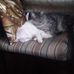 Sherri Renee O'Connor - Facebook