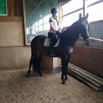 Sherrie Oconnor - @sherrie.oconnor.9678 - Instagram