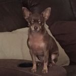 Sheri  L  O'Keefe - @sherio6650 - Instagram