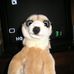 Sherrie O'keefe - Facebook