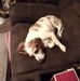 Sherri Olson - Facebook