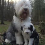 Sherri Patton - Facebook