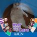 Cheri Pickrell - Facebook