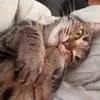 sheripickrell - @sheripickrell - TikTok