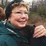 Sherri Plummer - @sherri.plummer.3 - Instagram