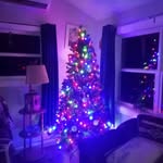 Sherri Plummer Francis - @plummerfrancis - Instagram