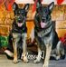 Shari Pratt - Facebook