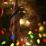 Sherry Randolph - @randolphsherry4 - Instagram