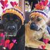 Sherri Reed - Facebook