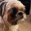 sherrireed - @sherri.reed4 - TikTok