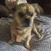 Sherry Rhoads - @sherryrhoads - TikTok