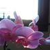 Sherry Rhoads - Facebook
