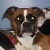 sherrirucker460 - @sherrirucker460 - TikTok