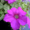 Sherri Ryan - @sherri.ryan7 - TikTok