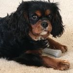 Sherri Shaffer - @sherrishaf - Instagram