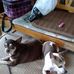 Sherri Sides - Facebook