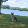 Sherri Sides File - @user880657192 - TikTok