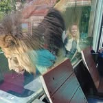Sherry Siebert - @sherry.siebert.5 - Instagram