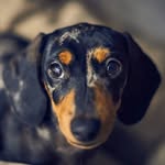 sherry silcox - @sherrysilcox108 - Instagram