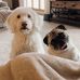 Shari McKeon Spaulding - Facebook