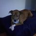 Sheri Ann Spaulding - Facebook