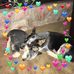 Sherri Spaulding - Facebook