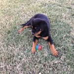 Sherri Spaulding - @sharebear4321 - Instagram