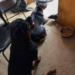 Sherri Spaulding - @sspaulding0813 - Instagram