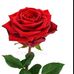 Sherri Strong - Facebook