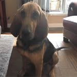 Sherry Sutter - @shkstewa - Instagram