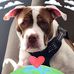 Sheri Thorne - Facebook