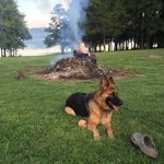 Sherri Thorne - @sherri.thorne.5 - Instagram