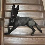 Sheri Tomlin Eagen - @sherieagen - Instagram