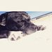 Sherie Warwick - Facebook