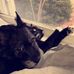 Sherri Weinstein - Facebook