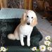 Sherri Wilcox - Facebook