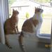 Sherrie Workman - Facebook