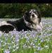 Sherri Worrell - Facebook