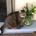 Sherri Abbott - Facebook