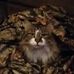 Sherri Abbott - Facebook