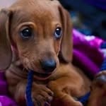 Sherri Barton - @sherri.barton.714 - Instagram