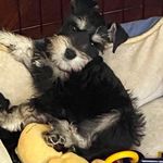 Sherrie Benson - @sherriebenson7777 - Instagram