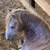 sherrieboyd100 - @sherrieboyd100 - TikTok