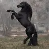 sherriebrandenburg - @oh.sherrie - TikTok